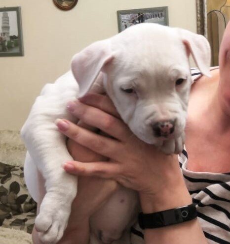 первое знакомство