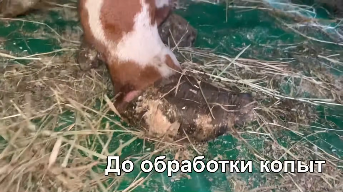 (листайте вправо)