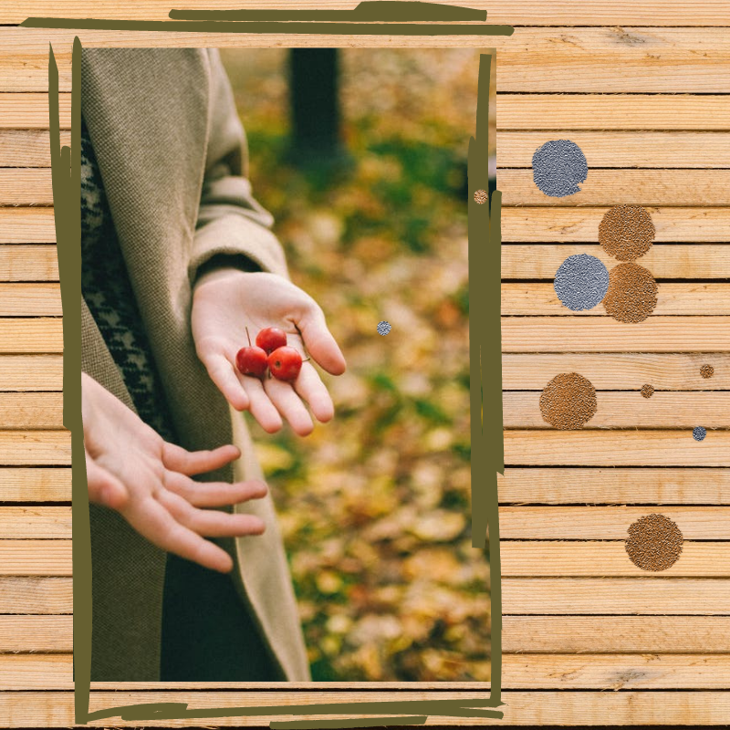 Это самый главный секрет: льготы, они вроде есть, но их вроде нет