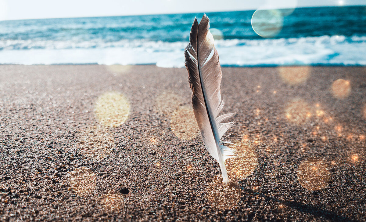 Источник изображения: Unsplash. Фотограф Zenad Nabil