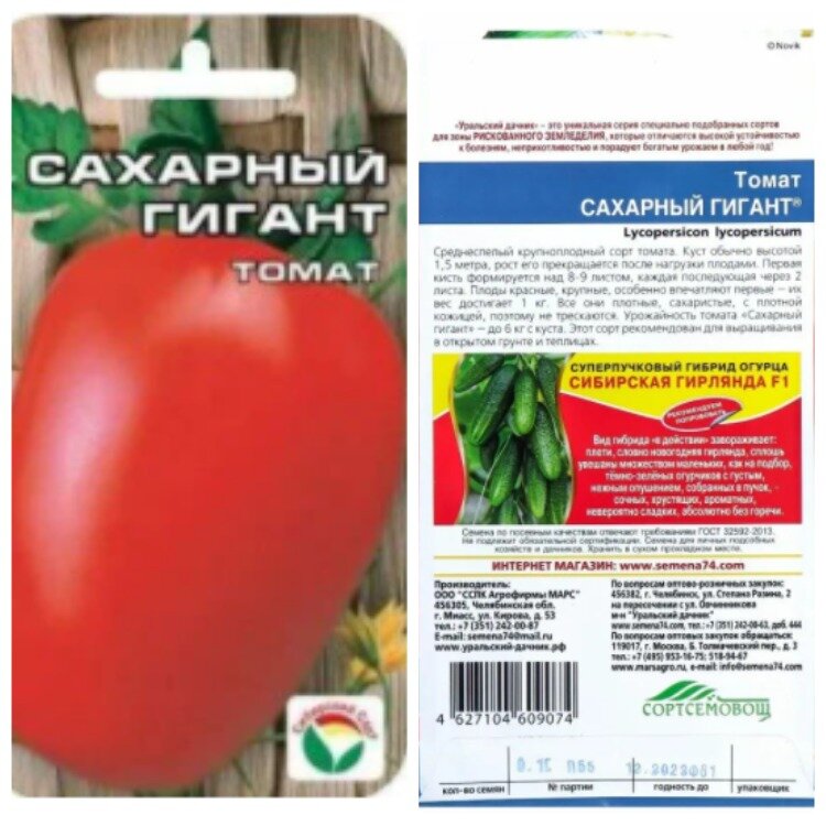 Томат сахарный