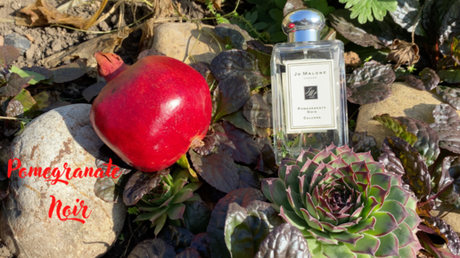 Обзор парфюма Jo Malone Pomegranate Noir