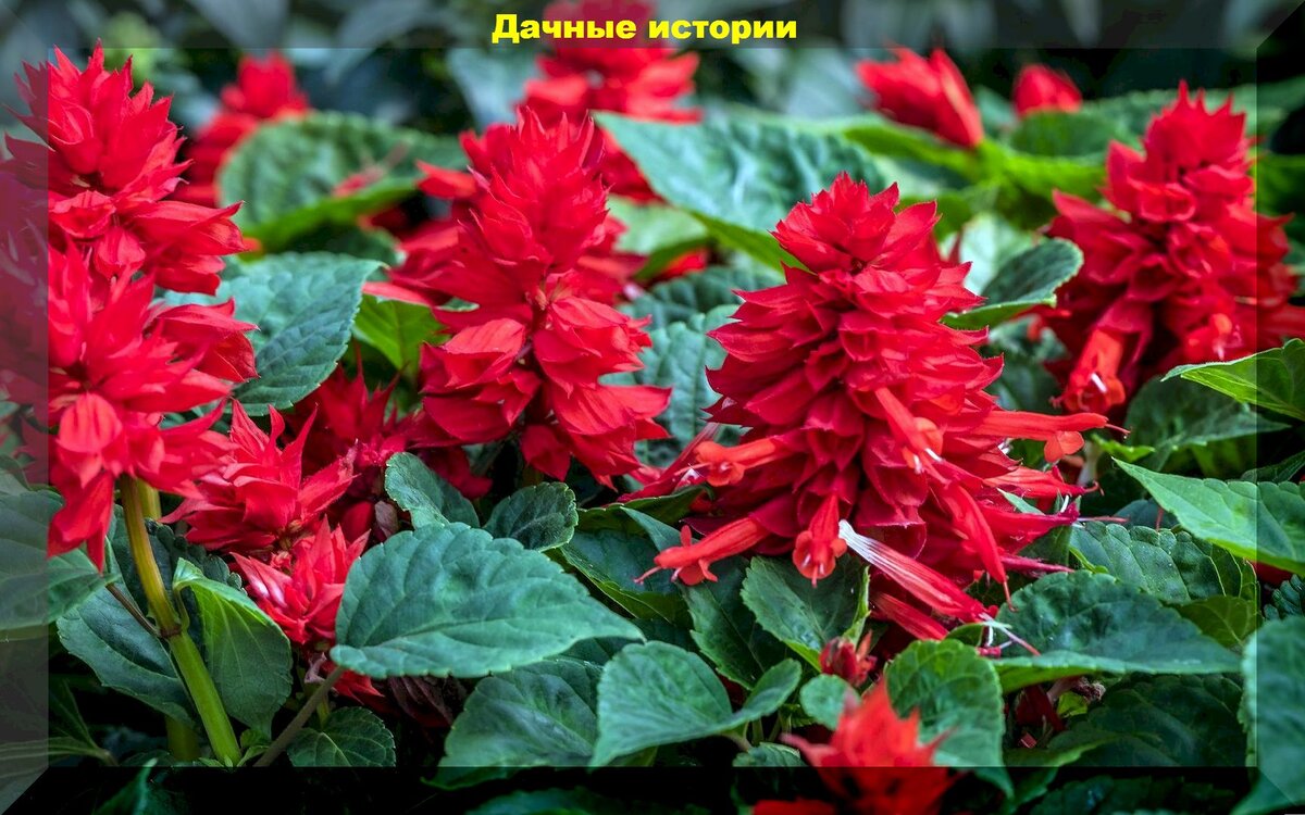 https://vk.com/photo-159774511_457252220