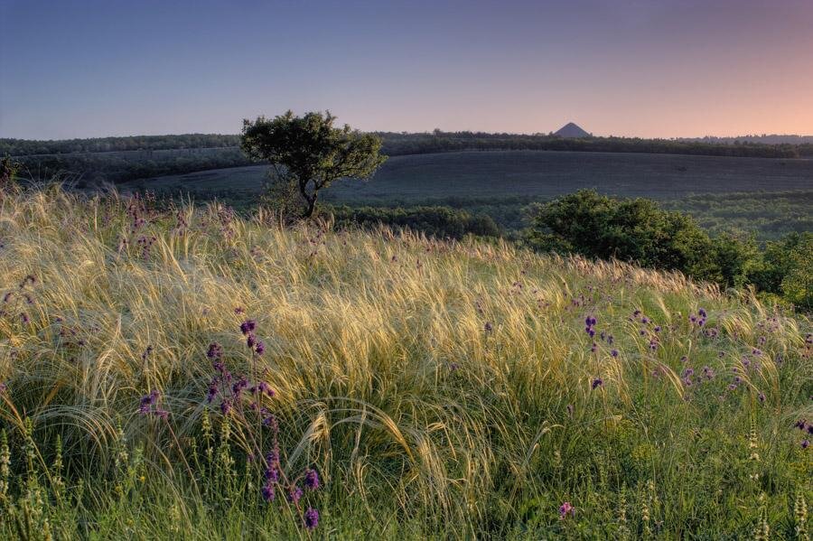 Фото из открытого источника Яндекс 