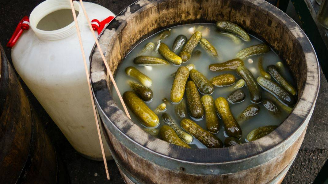 Солим огурцы в бочке на зиму. Соленья в бочках. Бочка с огурцами. Соленые огурцы в бочке. Квашеные огурцы в бочке.