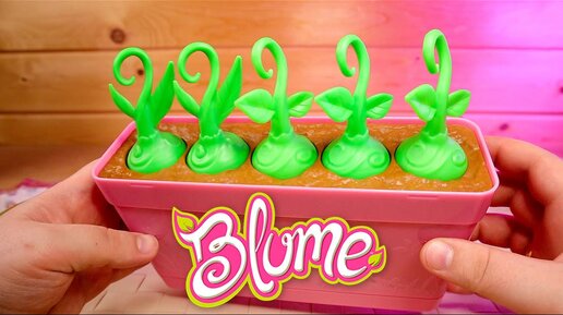 Цветочный Горшок с куклами сюприз Blume Baby Pop или Крошки Горошки Здорового человека Грядка Блюм