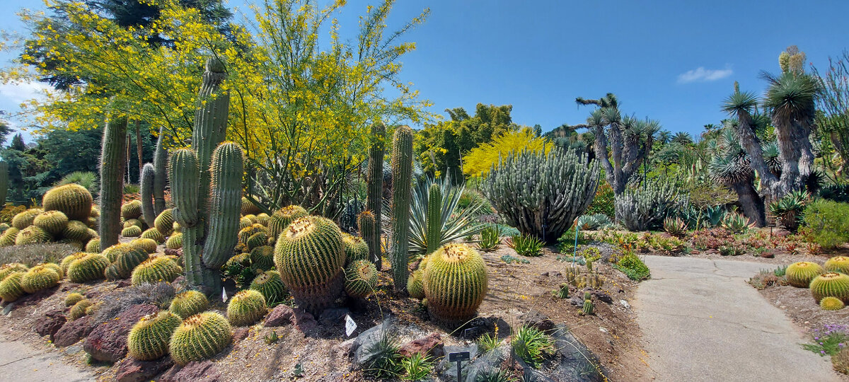Сад Пустынь. Фото из личного архива автора. Май 2022.