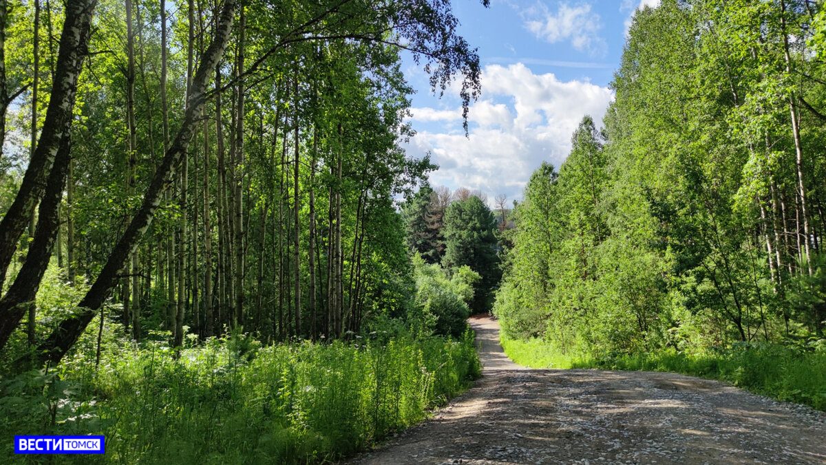синий утес голубые скалы томск. малое протопопово томская область. курганный могильник радовище. город грустина томск. река шингарка в деревне низино.