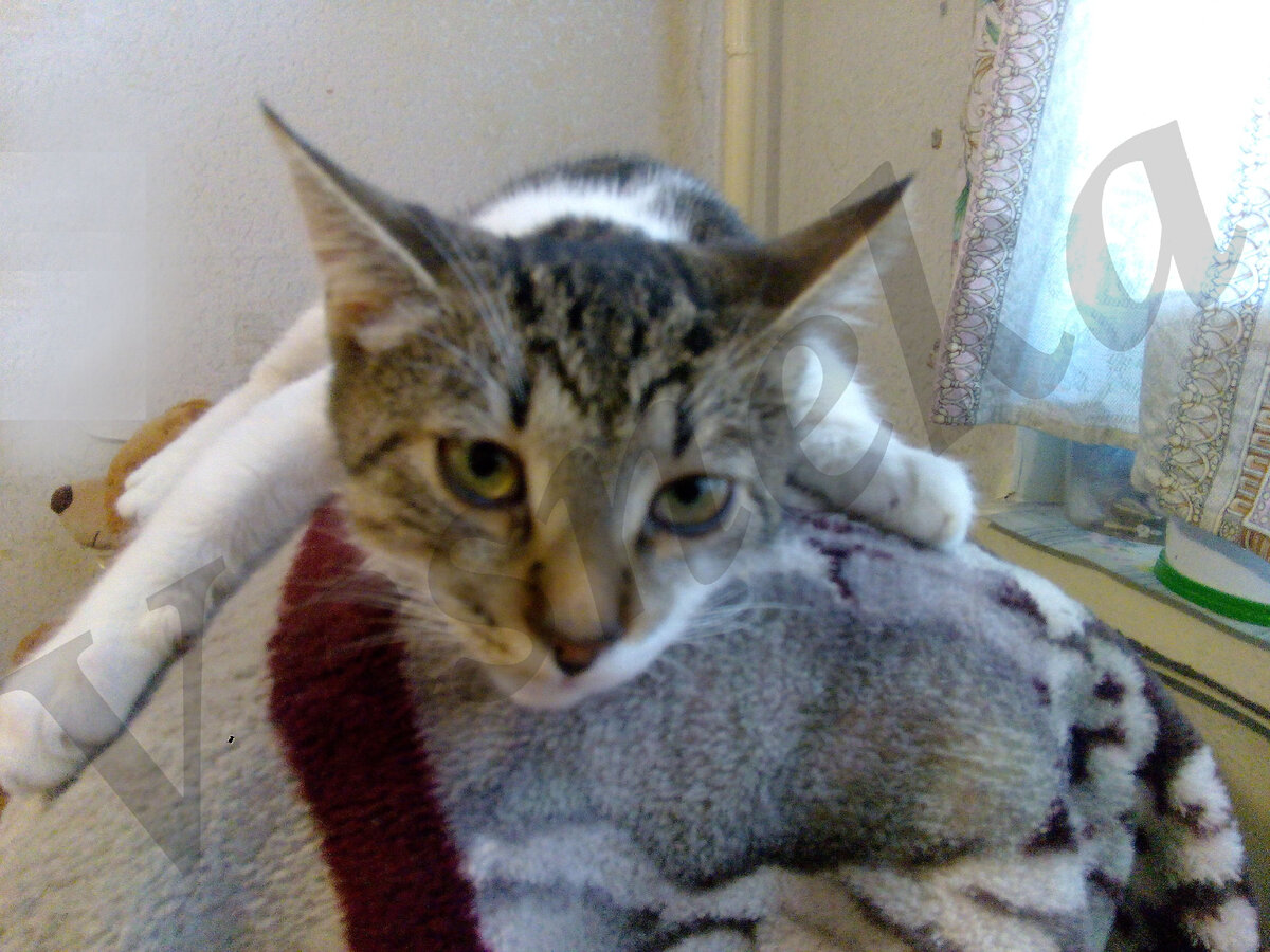 Фото автора