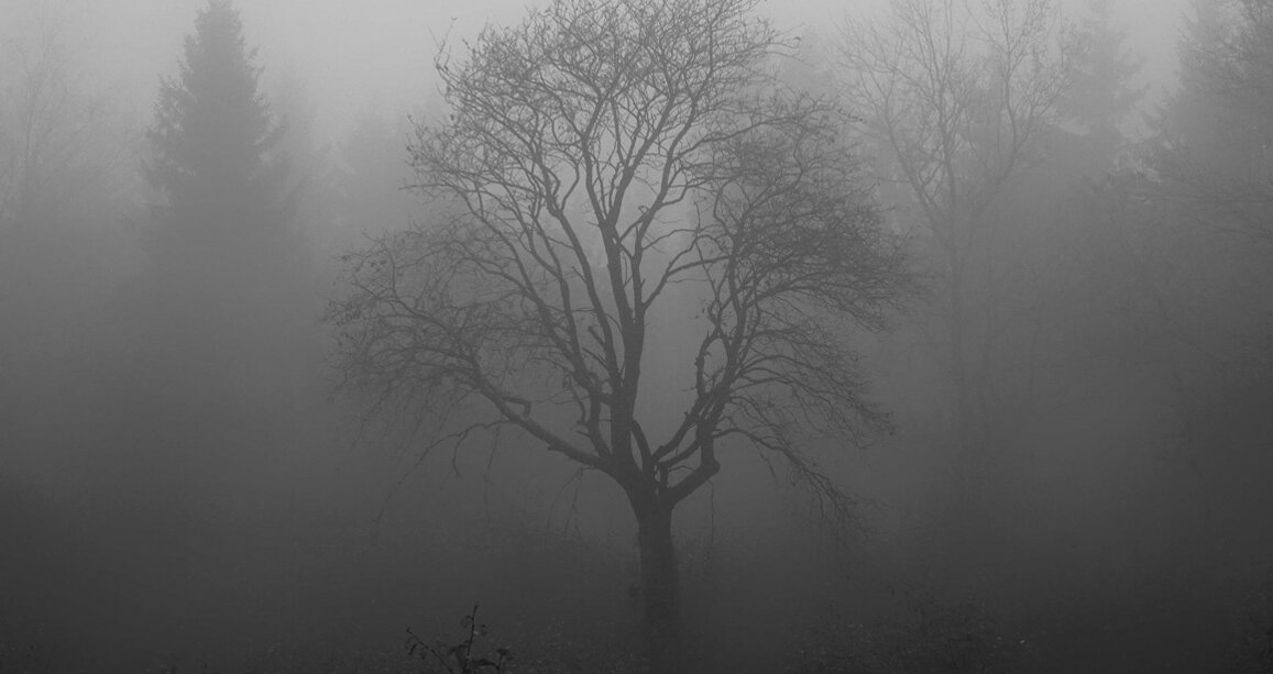 Изображение imagii с сайта Pixabay 