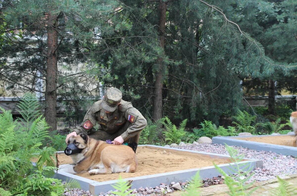Не грусти, дружок, мы с тобой на службе ратной...