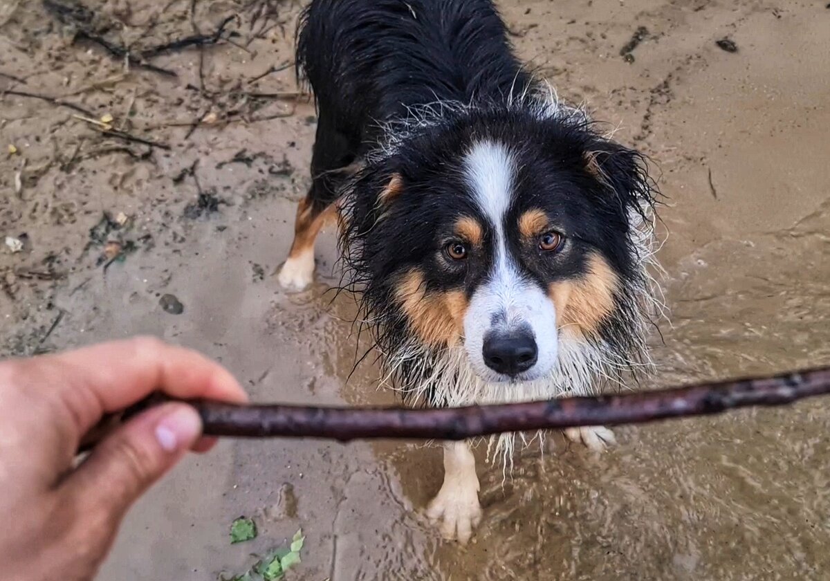 Главный "герой" сегодняшней статьи - Валентин