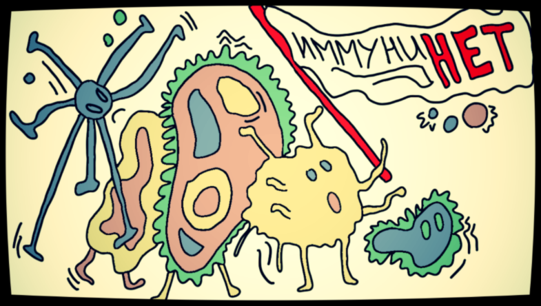 Если острых инфекций, типа ОРВИ, гриппа за год больше 3 -4-х — держите крепче своего защитника, иначе ускользнет от вас.