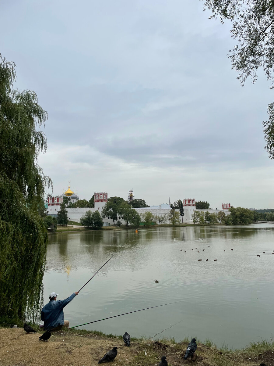 рыбак ловит рыбу на берегу пруда