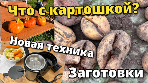 Наша жизнь в деревне. Собираем урожай, картошка трескается и ее кто-то поел. Тестируем соковыжималку