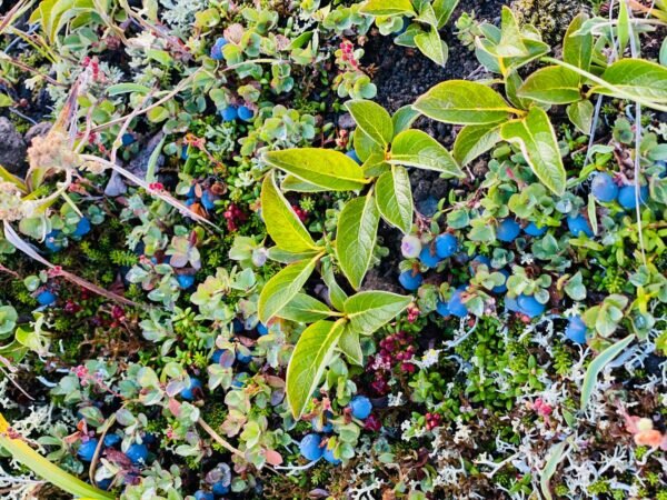    Фото: Никита Чудин