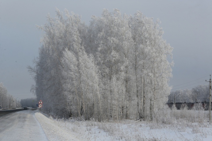    фото Алексея Танюшина
