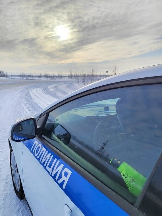     Фото: ГИБДД ЯНАО