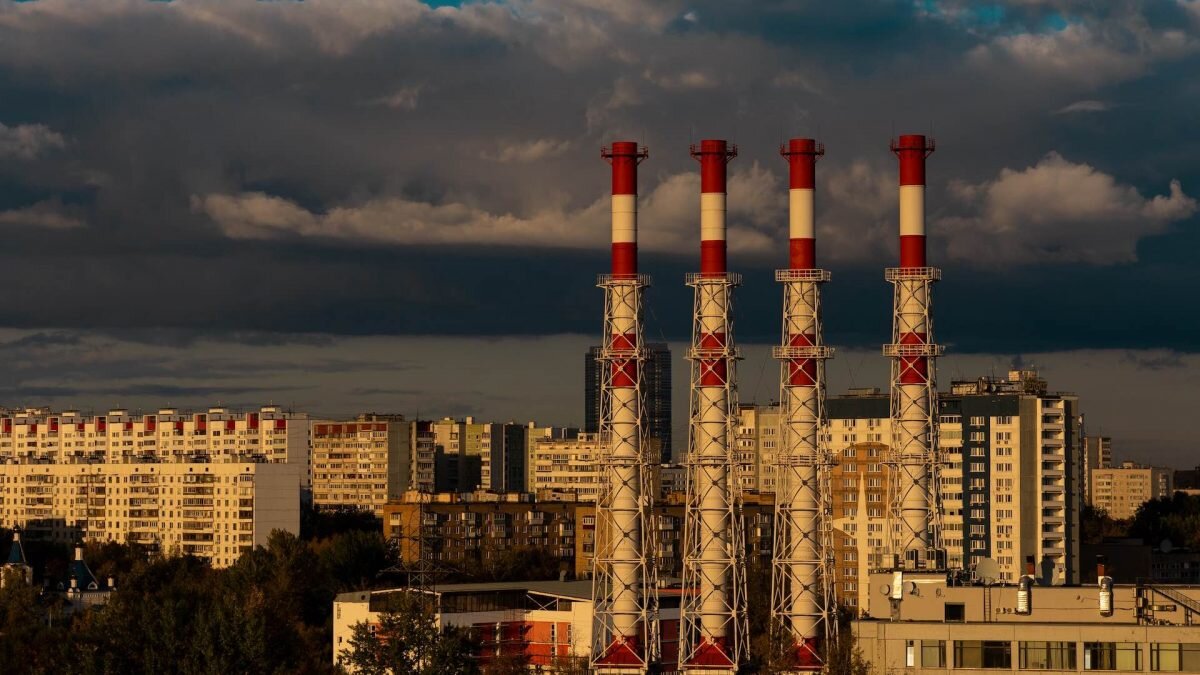    Фото: Unsplash Август Макаров