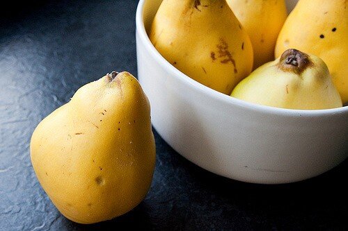 Айва / flickr.com/ автор фото: Edward Kimber