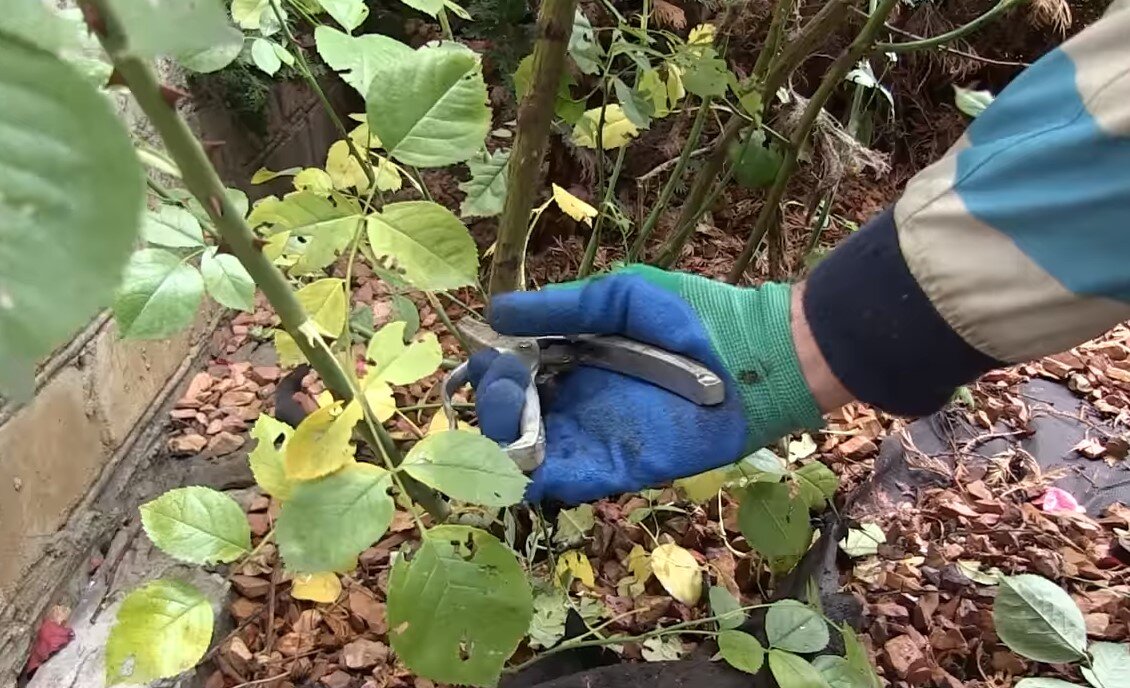 -2