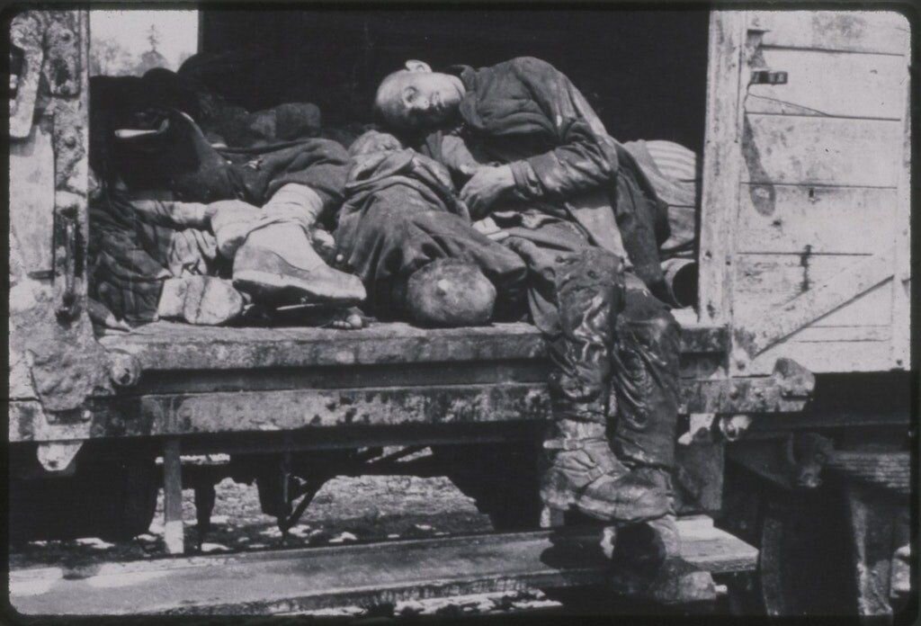 Публикую фото узников в "Поезде смерти", Дахау, 29 апреля 1945 года. 