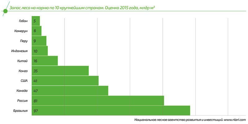 Запасы древесины в мире. Запасы леса в мире по странам на 2019. Запасы древесины России 2021. Запасы древесины на корню это. Общий запас древесины планеты на 2021.