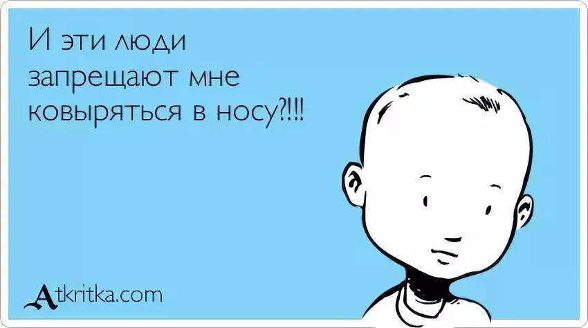 Хозяин ругает кошку. Фотожабы. И эти люди запрещают мне ковыряться. Комиксы человек толстяк ковыряет в носу. Запрещают ковыряться в носу анекдот.