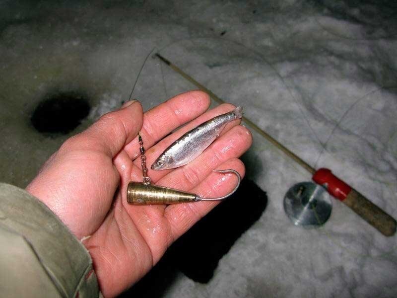 Ловля налима в Якутии зимой