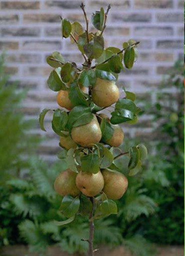 фото взято с сайта www.umhoz.com