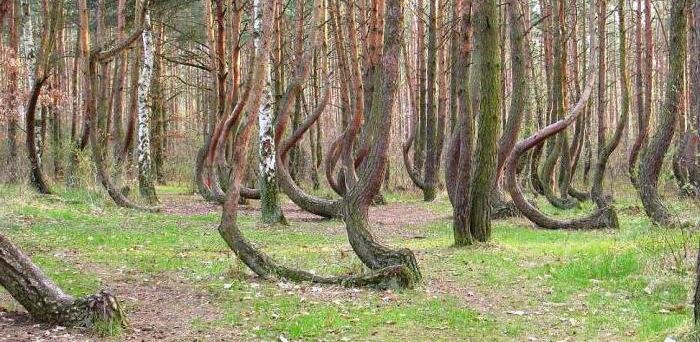 Урочище Шушмор