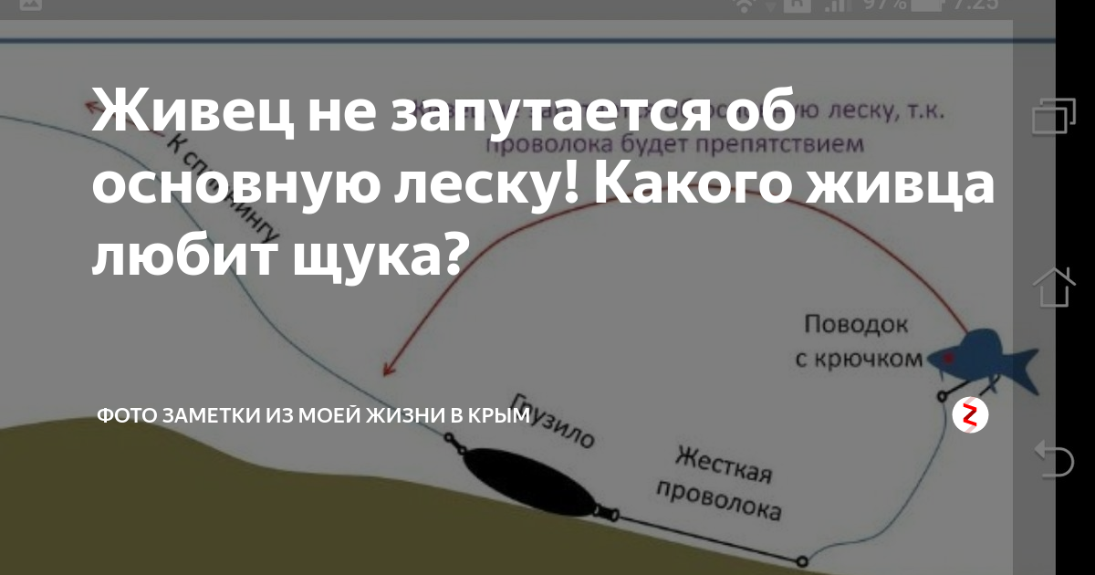 поплавочная живцовая снасть на щуку, оснастка на щуку с поплавком, поплавочная оснастка на щуку на живца, ловля на живца на поплавочную удочку