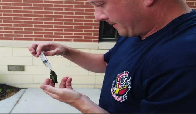 Фото: Maryland Heights Fire Protection District/facebook.com