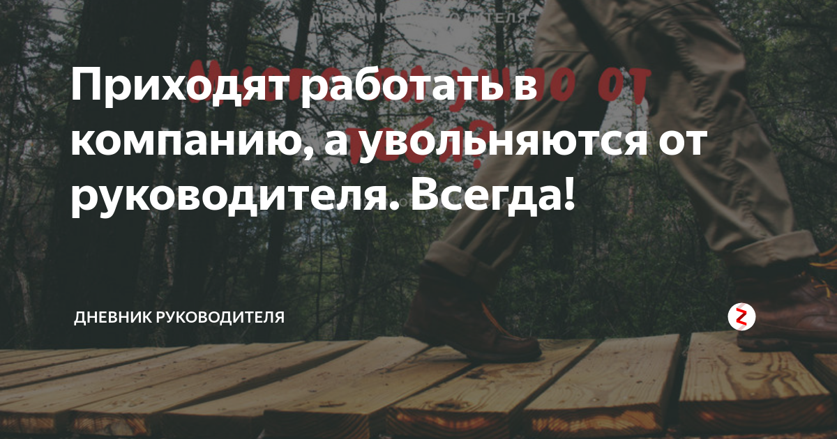 Картинка приходи работать. Добро пожаловать мтс. Прийти работать в компанию. Прийти работать в компанию. Карьерный рост в мтс.