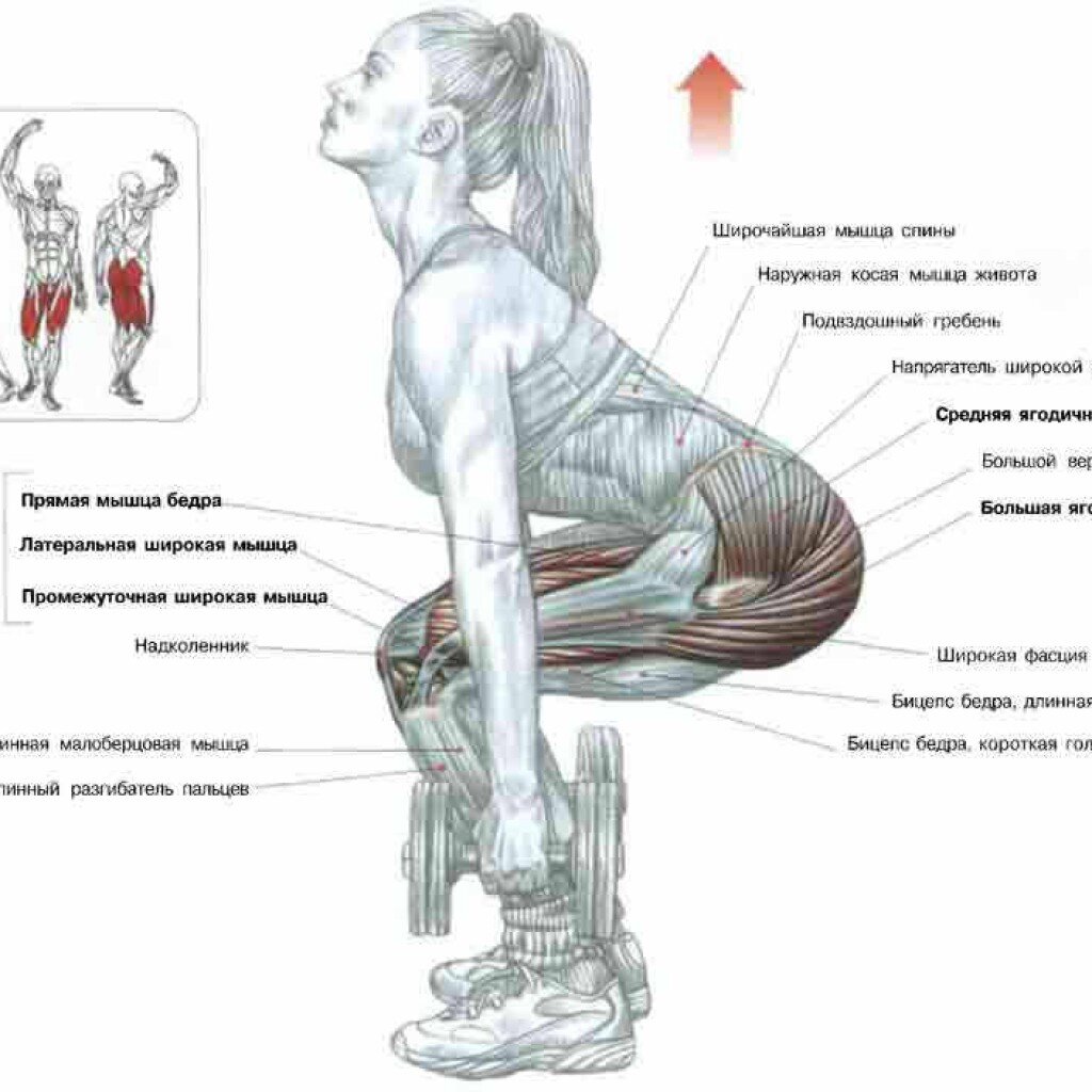 Наприседаем бразильскую попу. Виды приседаний для прокачки ягодичных мышц.  | health and beauty | Дзен