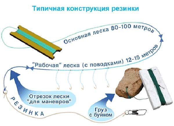 Фидерная снасть на карпа