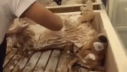 гифка: eushtiu.com