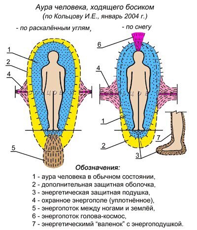 Моржевание - Спорт и экстрим - Лыткарино Онлайн