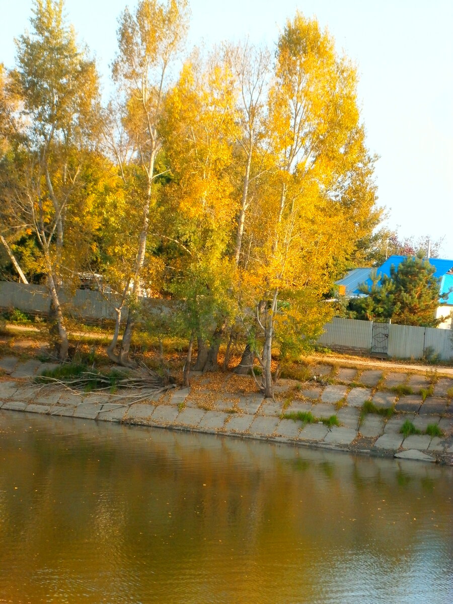                                      Популярны плиты.