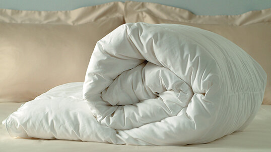  
 Особое распространение получило приобретение пухового одеяла у жителей регионов с холодным климатом. Ведь оно очень теплое и имеет небольшой вес. Уютное изделие будет оберегать ваш сон, позволит в полной мере выспаться и ощущать прилив сил целый день.
