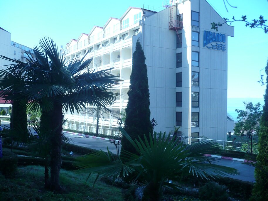 Круглый год весь в зелени.