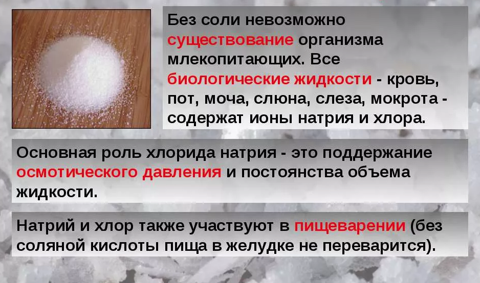 Соленый почему. Содержание солей в организме
