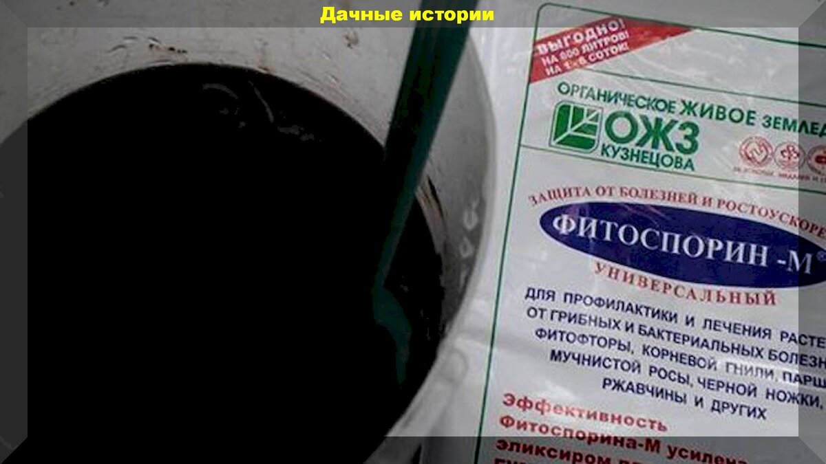 https://vk.com/photo-159774511_456241504