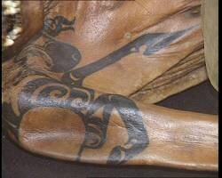 В данном погребении были найдены еще два воина и  шесть коней со сбруями. На левом плече женщины хорошо сохранившаяся  татуировка изображала сакральный знак – так называемого алтайского грифона. Интересно, что древнегреческий историк Геродот, современник загадочной принцессы, писал о населяющих Горный Алтай племенах скифов, которые могут обращаться в грифов, стерегущих золото. По словам Геродота, эти неведомые существа отличались высоким ростом и неземной внешностью.
      Удивительную даму ученые назвали Алтайской принцессой. Одежда  принцессы была из тончайшего шелка, который на Алтае практически не  применялся.

