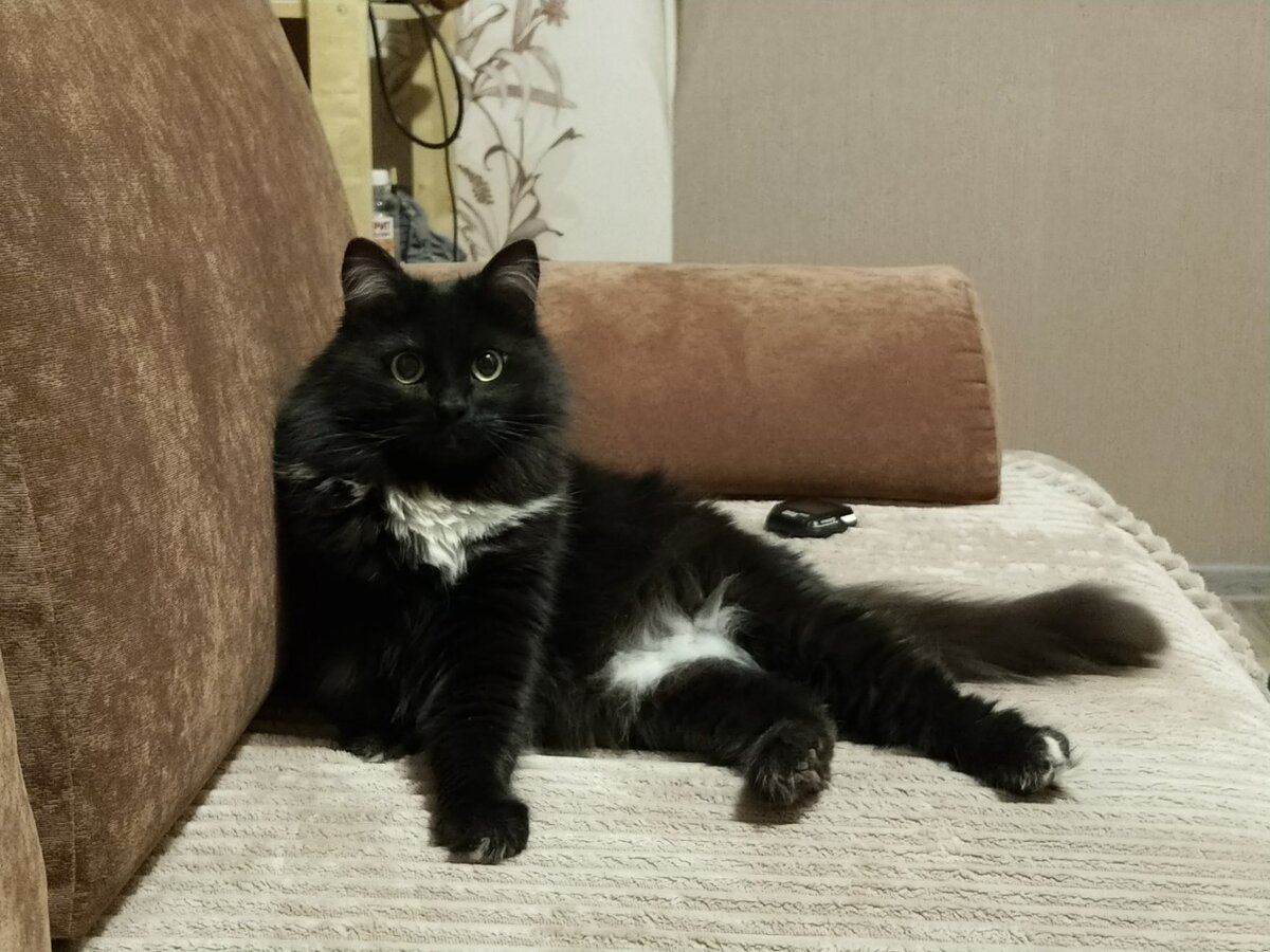 Фото из личного архива автора