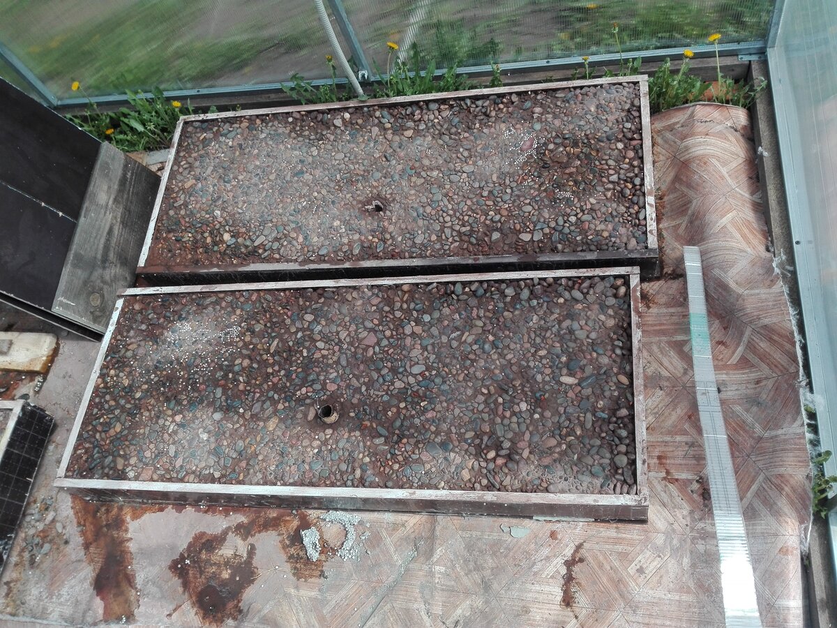 Фотография 03.06.2018г