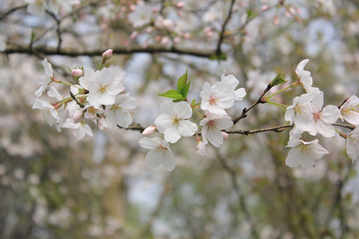 Photo by Alice Wu on Unsplash