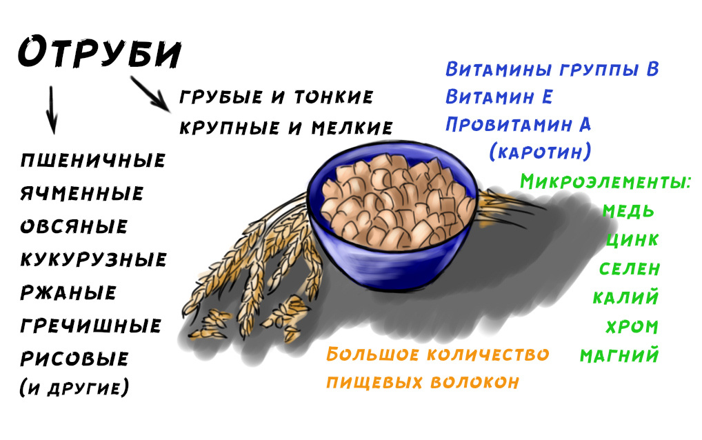 Иллюстрация от автора канала