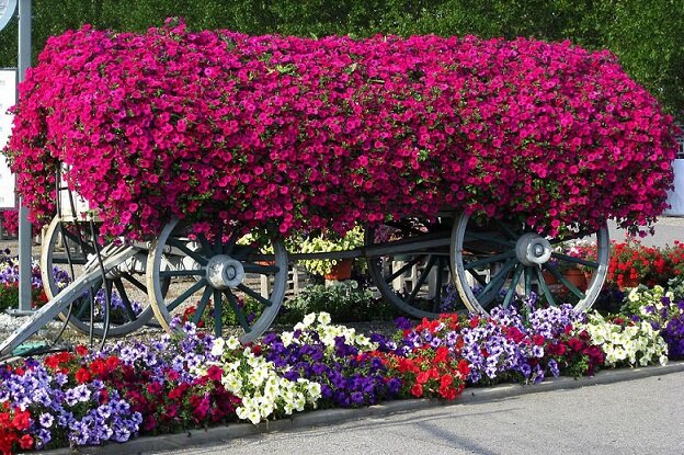 Используется фотография из открытого источника интернета