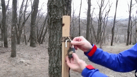 (гиф-анимация из открытых источников)
